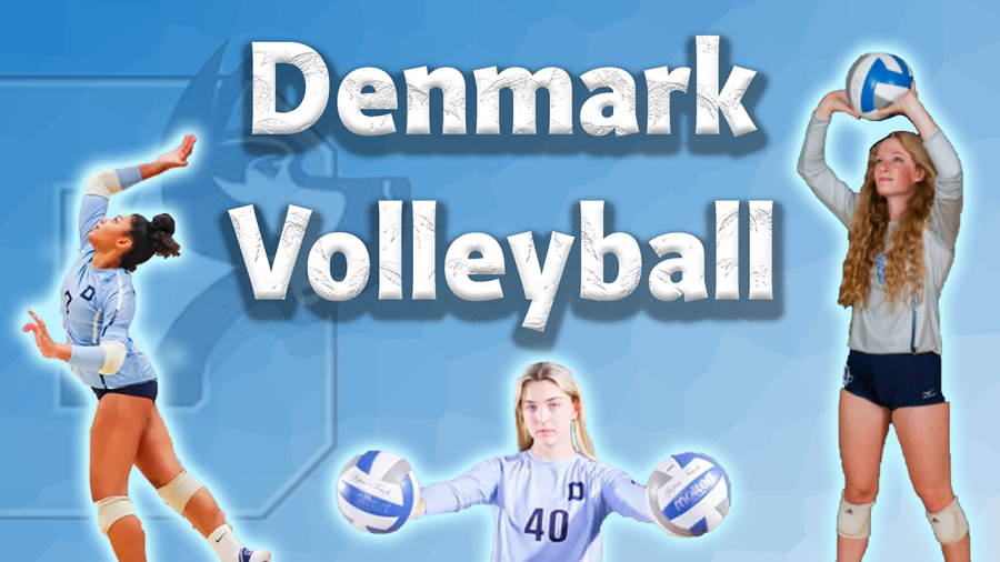 Denmark Volleyball Season Overview - Interview & Highlight