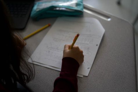 homework in danish schools