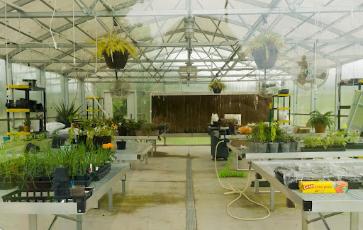 The beautiful image above is the Denmark greenhouse. It is my “safe place”. Though I am not there often, I enjoy the setting so much. It’s calming being around an assortment of plants. 