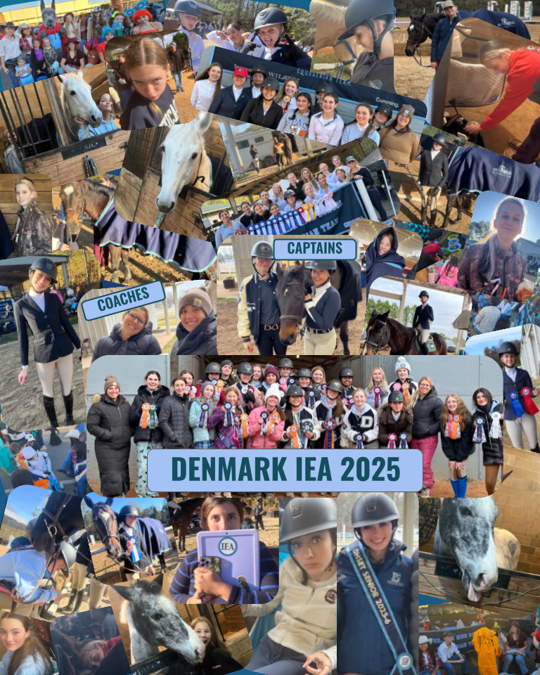 DHS 25-25 IEA Collage