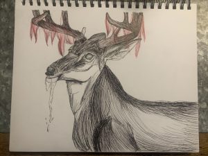 "Deer Shedding Antlers," a sketch